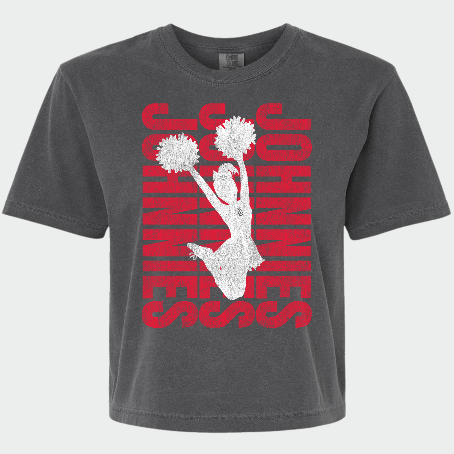 JYAA: Johnnies Cheerleader *distressed* Women's T-Shirt