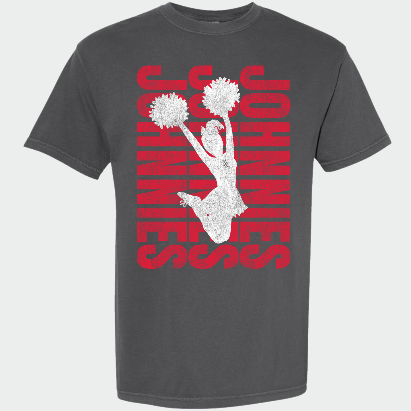JYAA: Cheerleader *distressed* T-Shirt