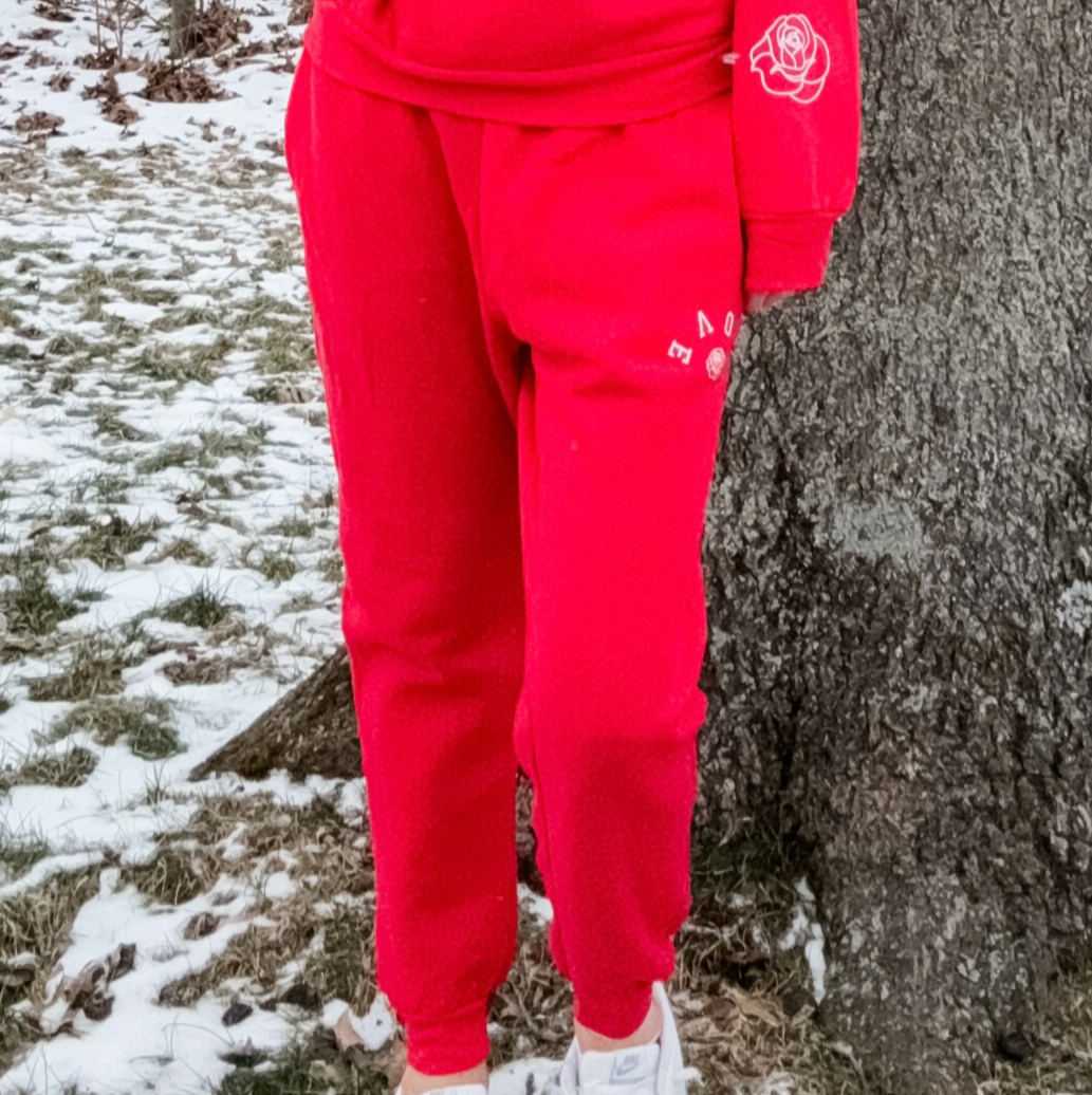 *marketing sample* Upside down LOVE Fleece Jogger - size adult large