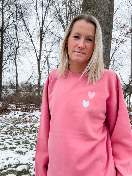*marketing sample* Howdy Pigment Pink Crew Sweatshirt - size medium & size adult large