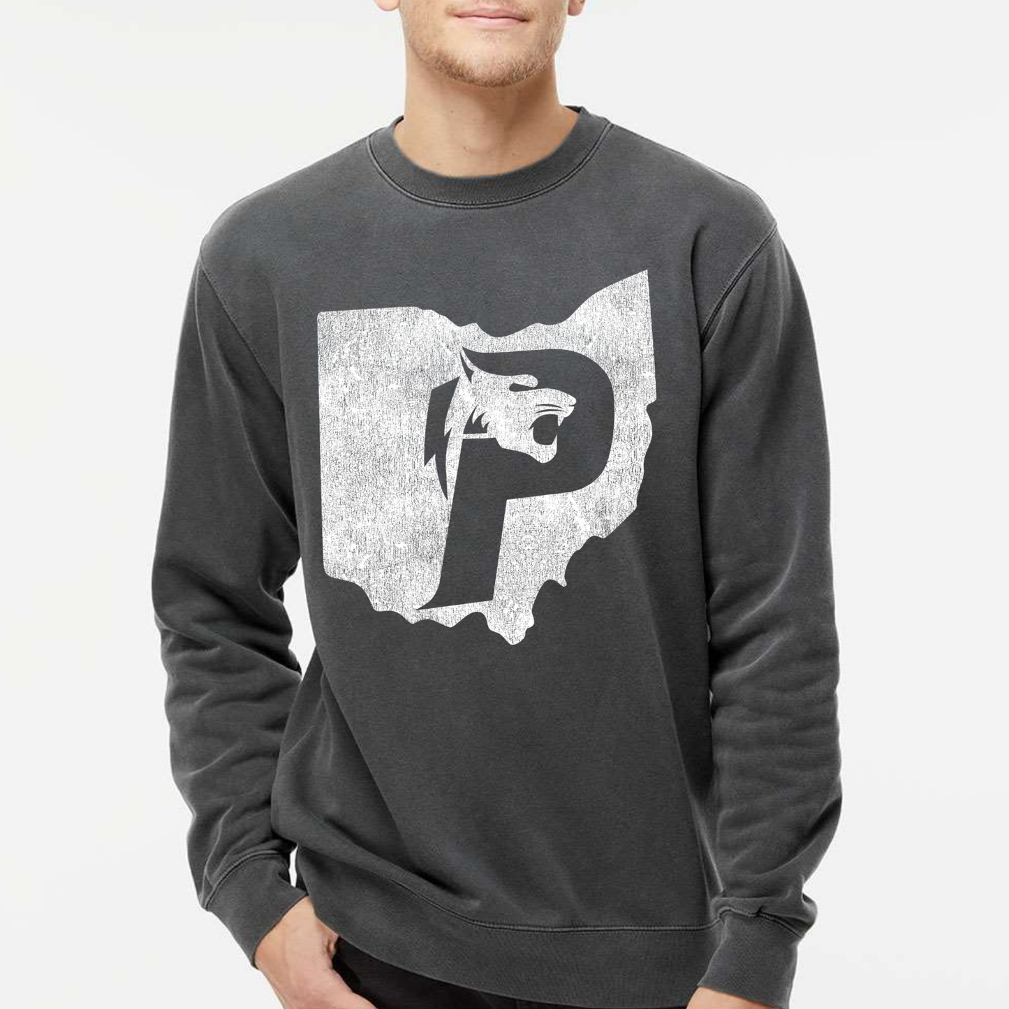 Pick Preds: Distressed Logo Crew Sweatshirt