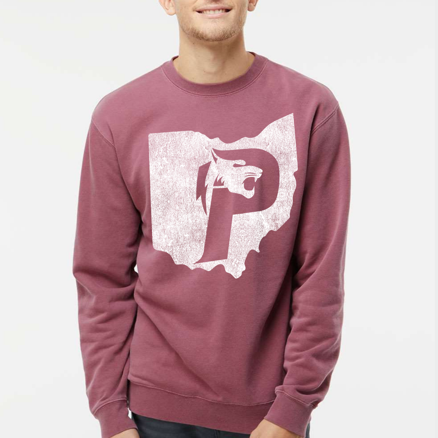 Pick Preds: Distressed Logo Crew Sweatshirt