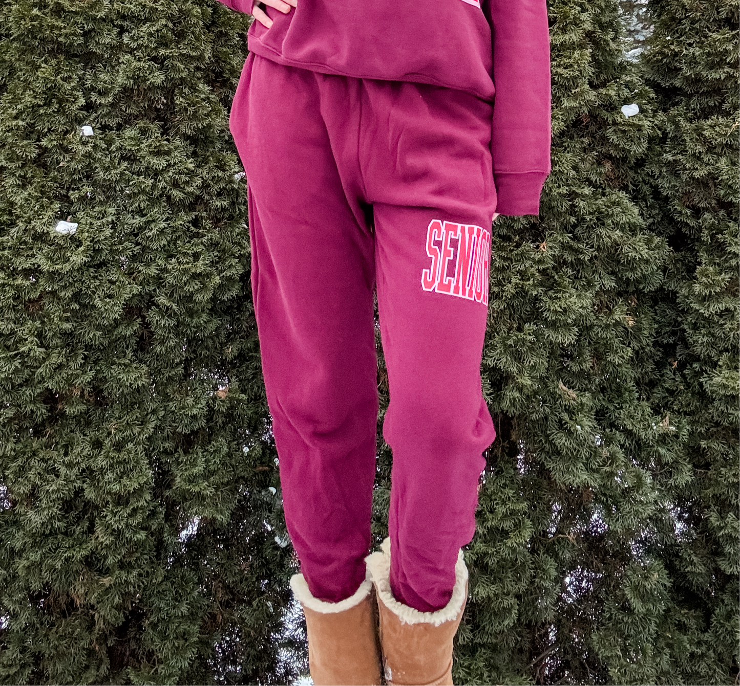 *marketing sample* Senior Sponge Fleece Jogger - size large