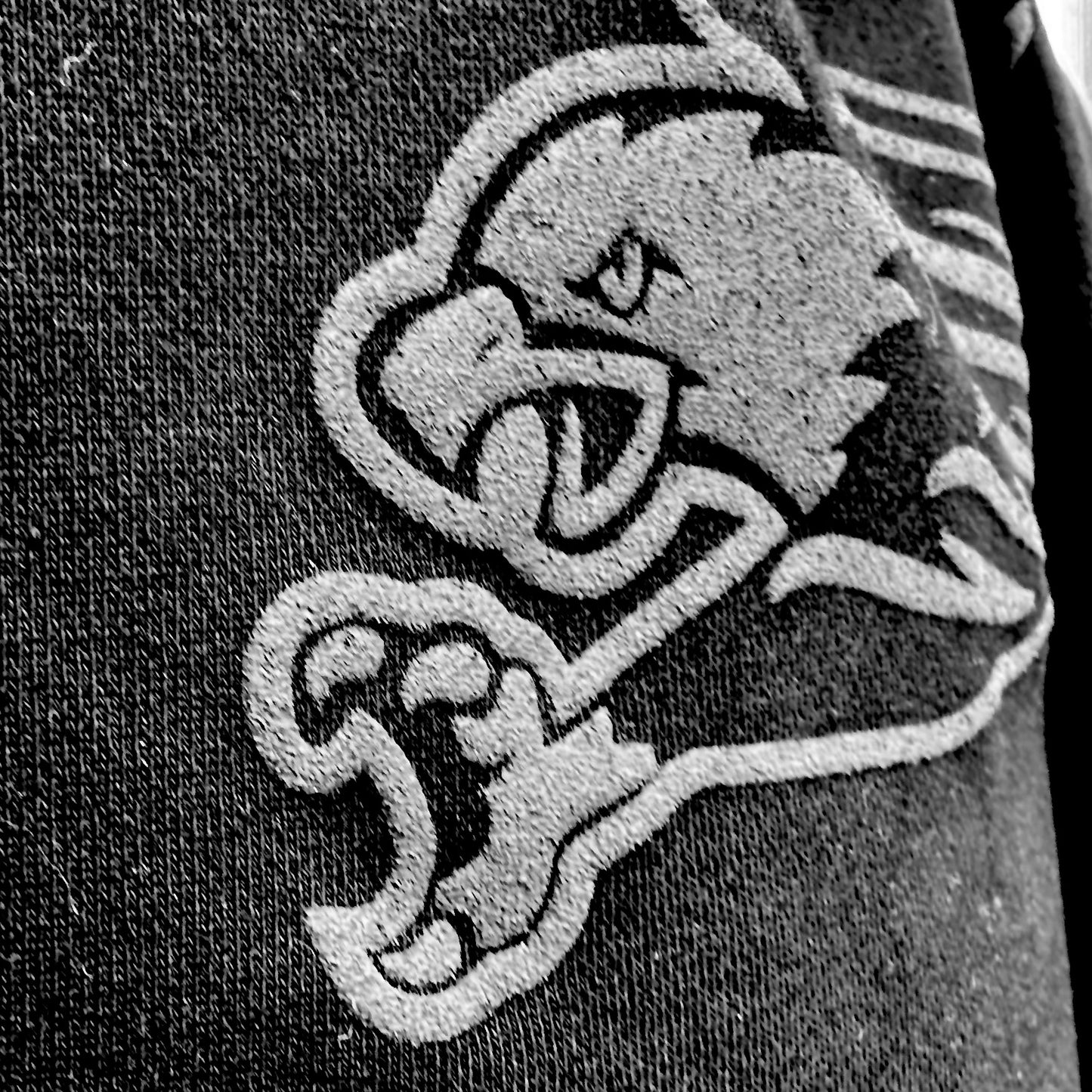 NAPTO: 3D Puff-Printed, Heavyweight Hooded Sweatshirt